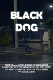 Black Dog