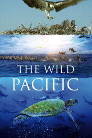 The Wild Pacific: The Beauty Of Life