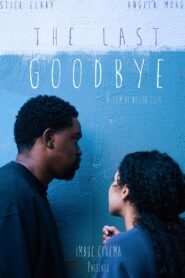 The Last Goodbye