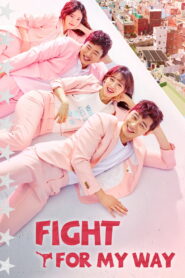 Fight for My Way (2017)