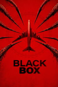 Black Box (Flight 298) (2026)