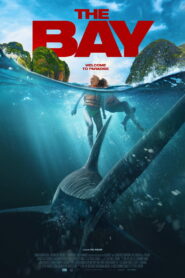 The Bay (2026)