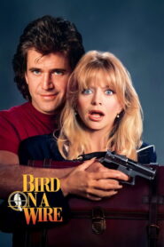 Bird on a Wire (1990)
